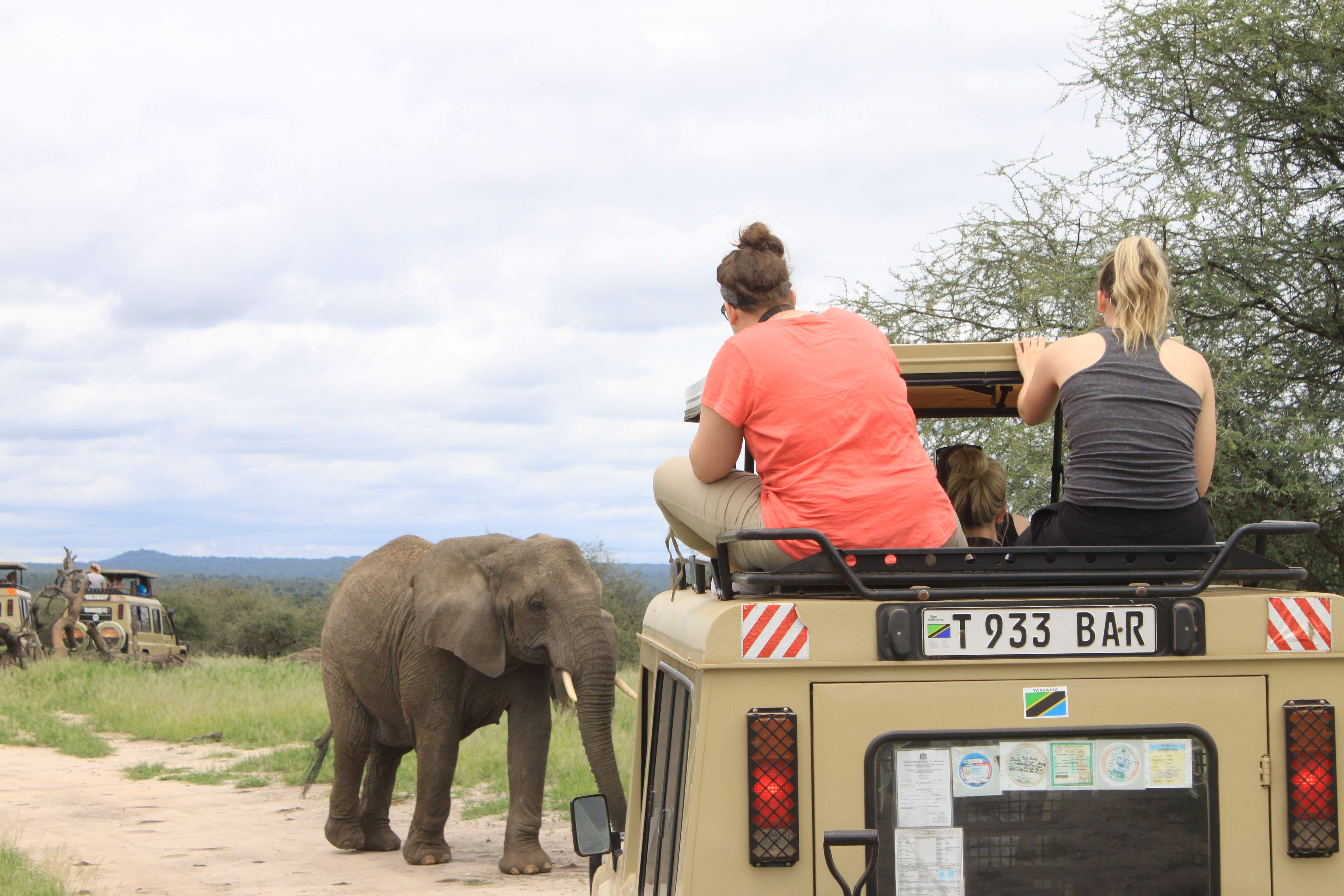 Sustainable Wildlife Tourism and Conservation